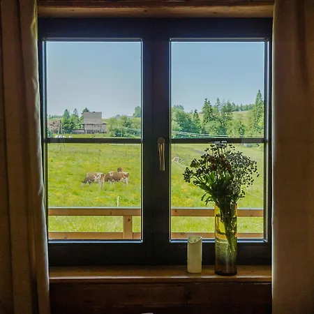 Villa Baranowka - Apartamenty Z Widokiem Na Giewont, W Pasmie Gubalowki By Shortstaypoland Ratulow Room photo