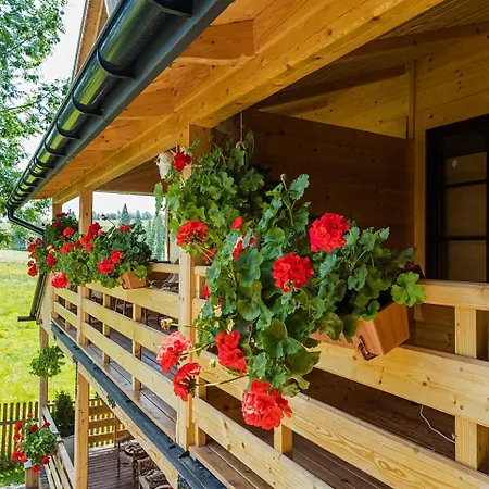 Villa Baranowka - Apartamenty Z Widokiem Na Giewont, W Pasmie Gubalowki By Shortstaypoland Ratulow Room photo
