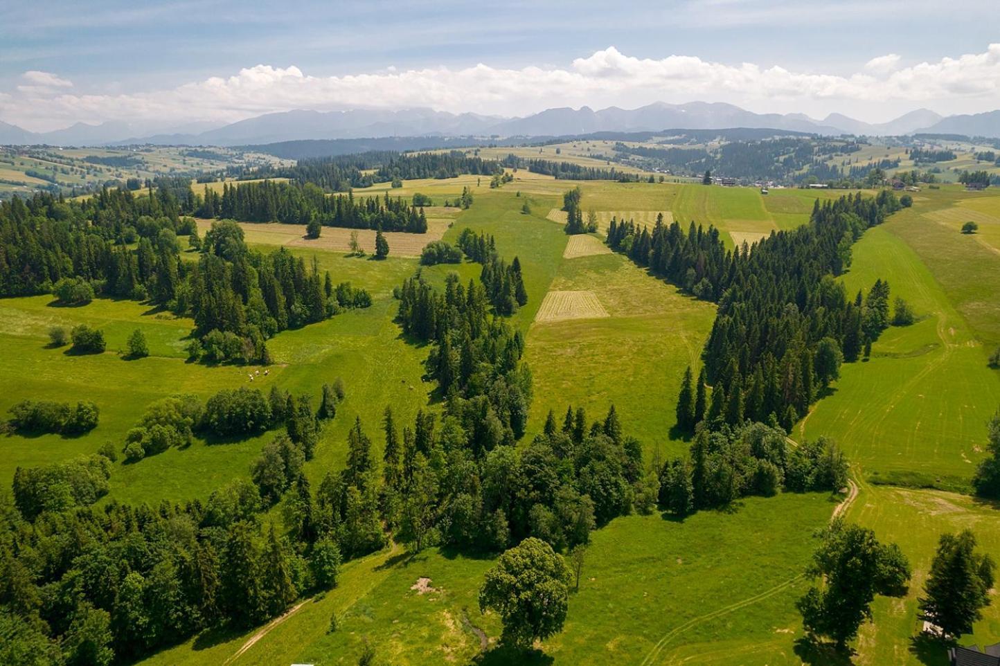 Apartment Villa Baranowka - Apartamenty Z Widokiem Na Giewont, W Pasmie Gubalowki By Shortstaypoland Ratulow