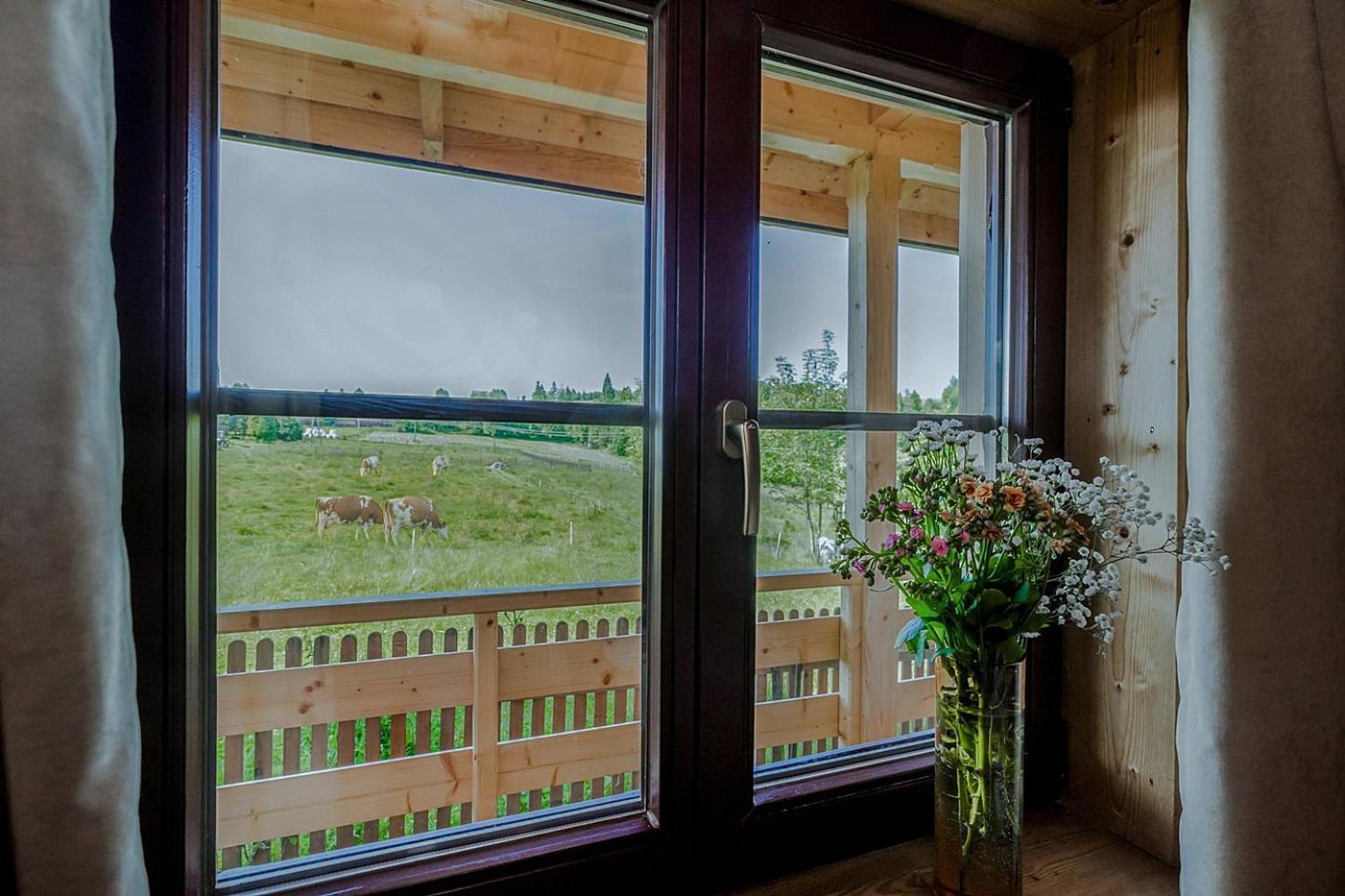 Apartment Villa Baranowka - Apartamenty Z Widokiem Na Giewont, W Pasmie Gubalowki By Shortstaypoland